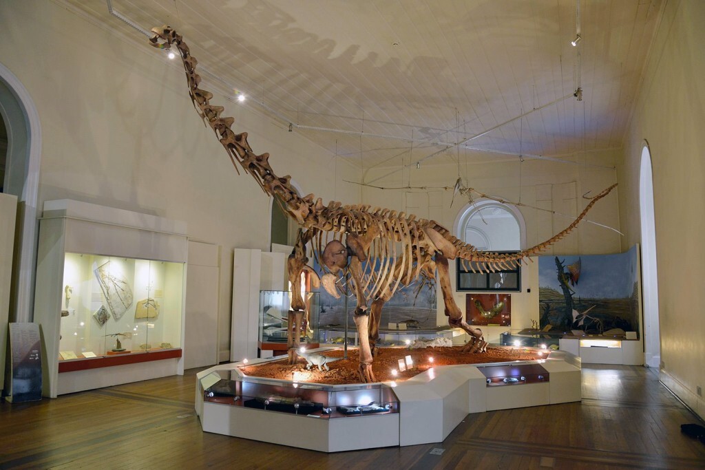 coleccion-paleontologica-museo-nacional-de-brasil_a7a99cd1_1500x1001