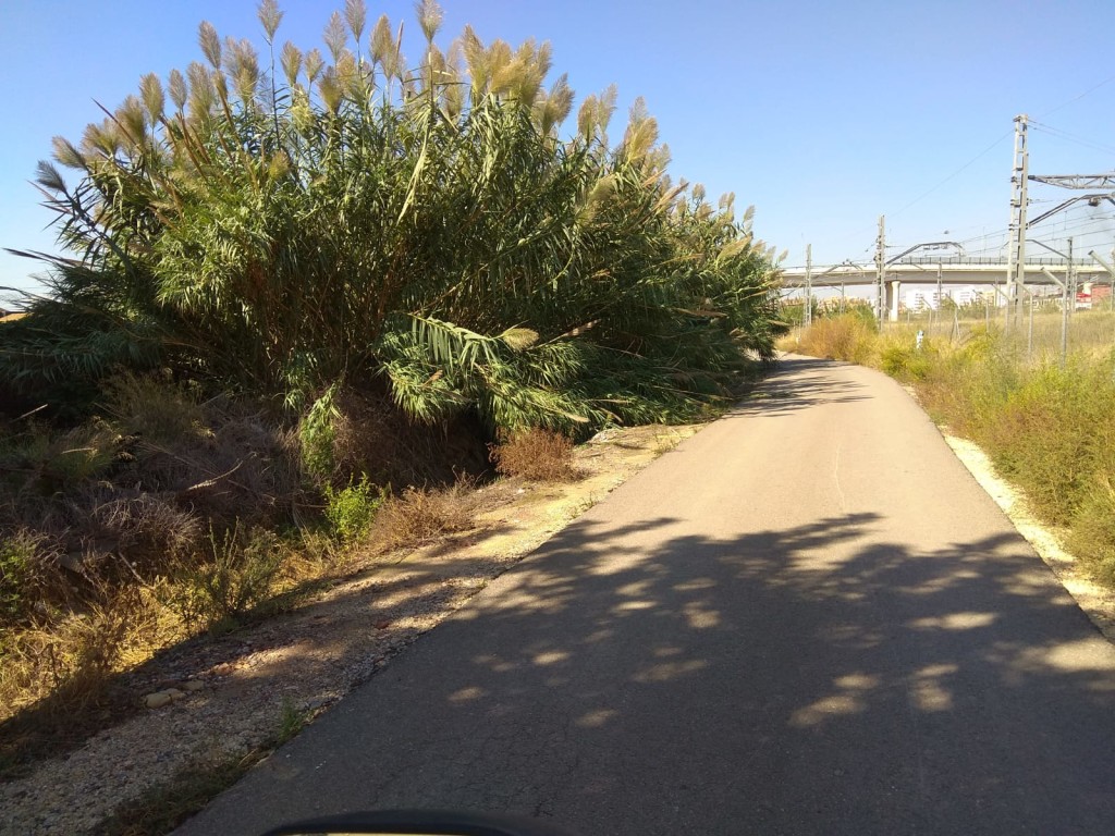 1004 Camins rurals (1).Malilla-Després