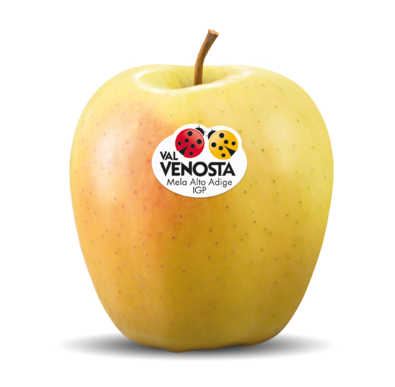 golden-delicious-it