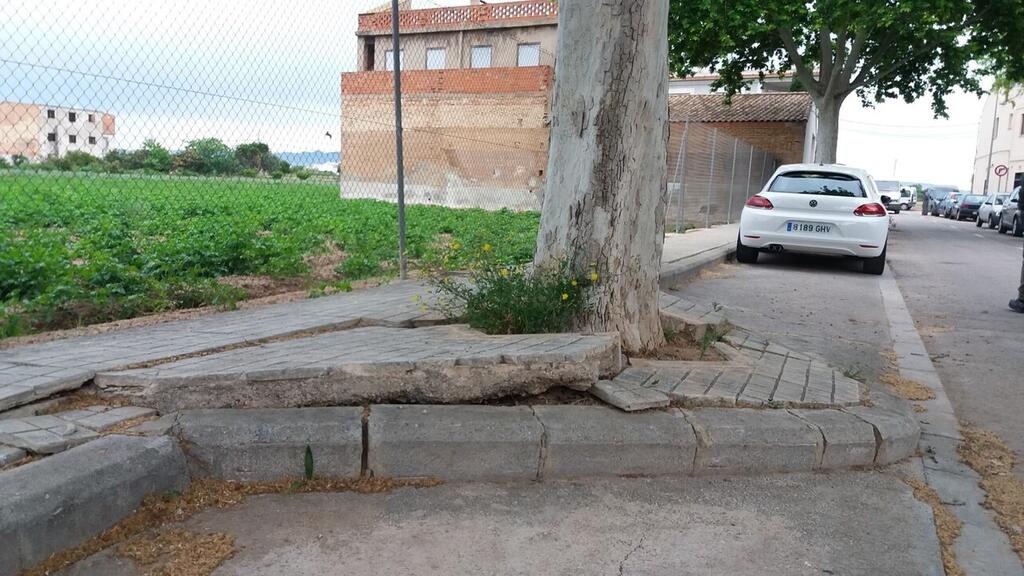 0515 Carpesa Plantaners