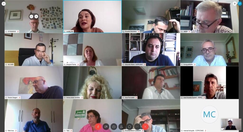 20.06.08_Reunio_actualitzacio_Xylella_00