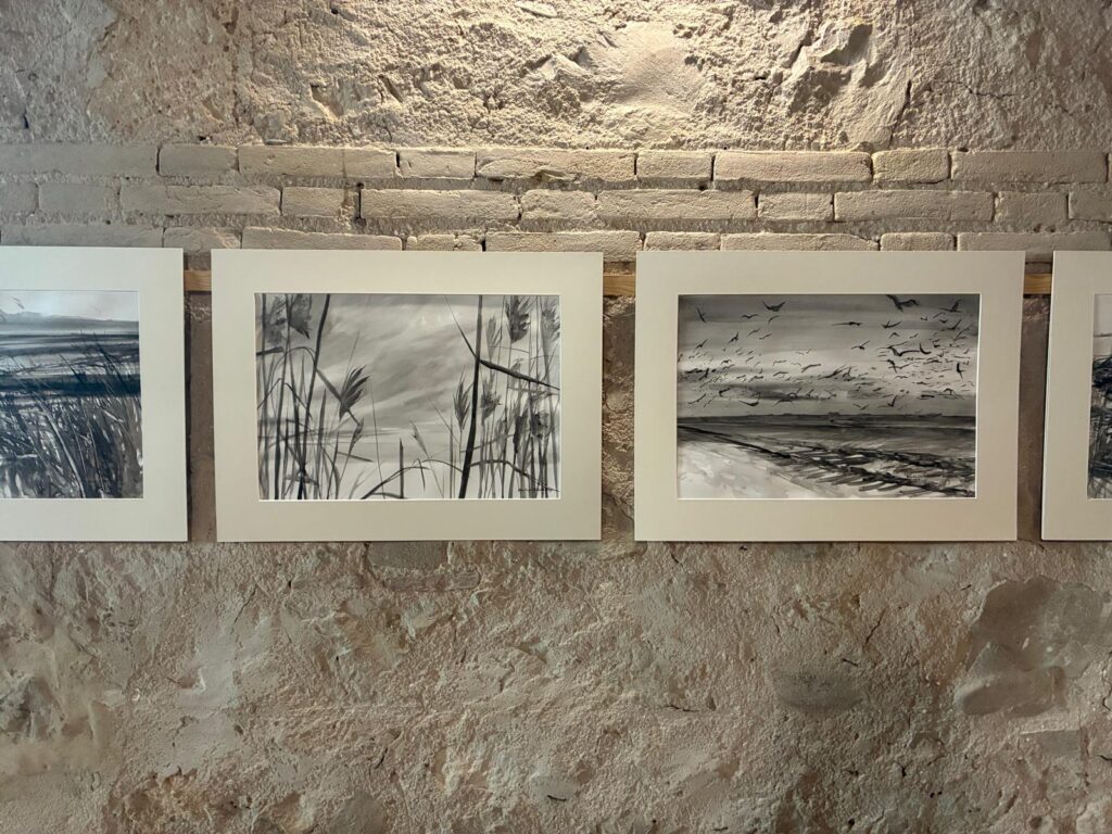 El Museo del Arroz acoge una exposicion que conecta LAlbufera con la llanura de Verona 3