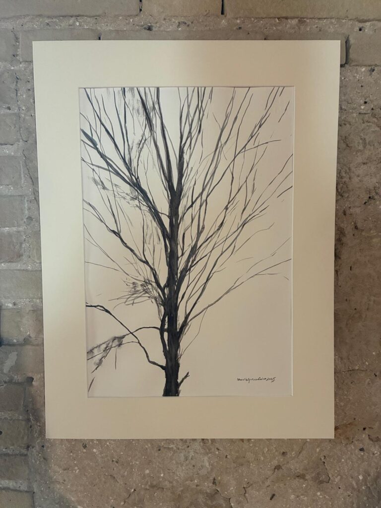 El Museo del Arroz acoge una exposicion que conecta LAlbufera con la llanura de Verona 4