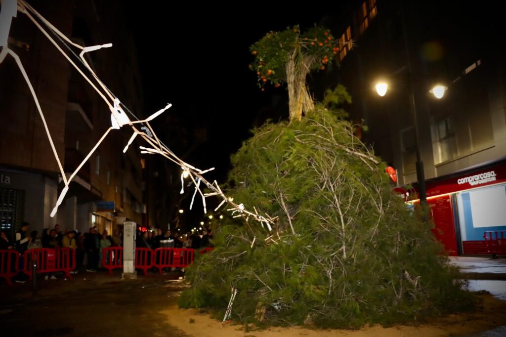 WhatsApp Image 2026 01 17 at 08.21.47 1