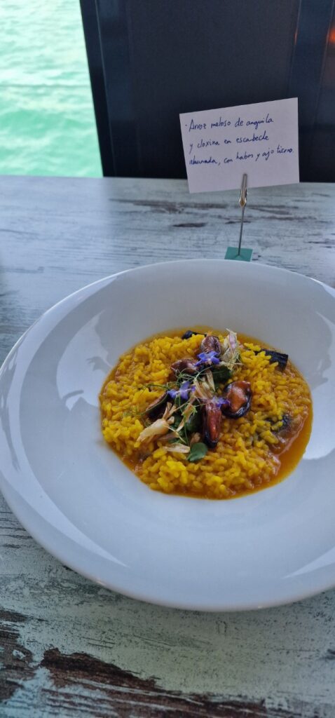 Casa Navarro de Almenara conquista La Marina y gana el II Concurso Nacional de Calderos de Arroz 27 Mediana