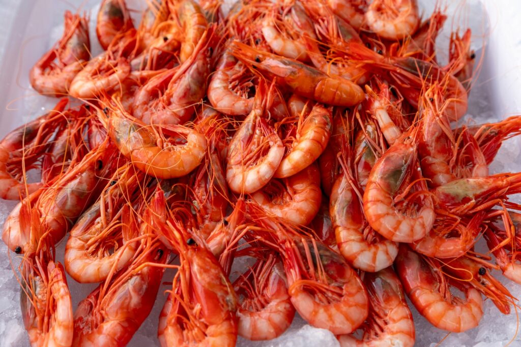gambas de Denia