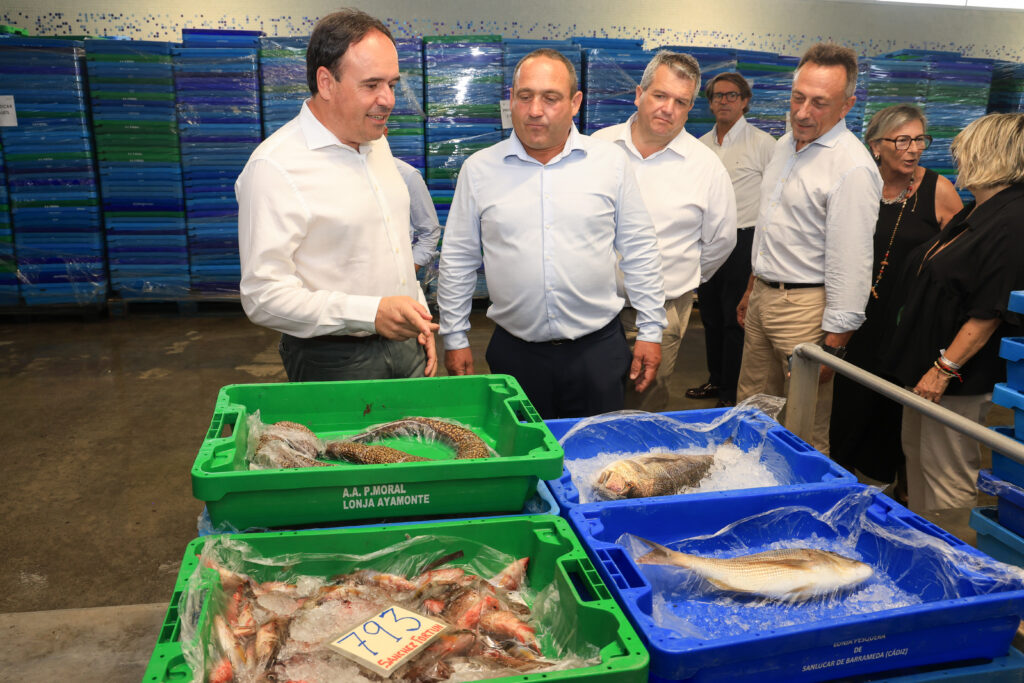 lonja de pescadores de Santa Pola 1