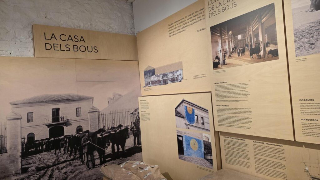 El Museu de la Mar de Valencia abrira sus puertas en septiembre tras culminar la rehabilitacion de la historica Casa dels Bous 3