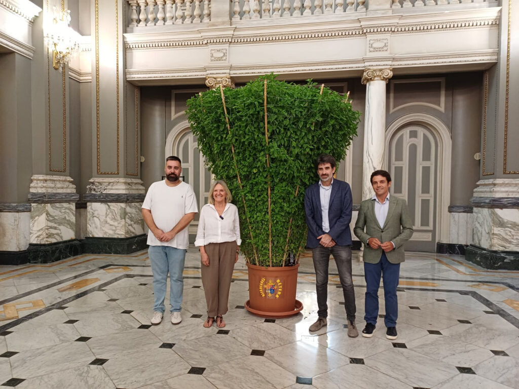 Una alfàbega monumental de Bétera ya puede visitarse en el Ayuntamiento de Valencia 3 Una alfabega monumental de Betera ya puede visitarse en el Ayuntamiento de Valencia 1