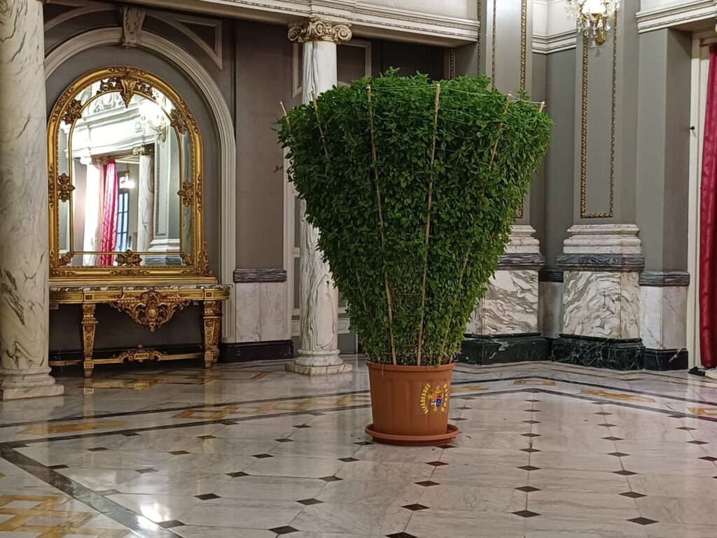 Una alfàbega monumental de Bétera ya puede visitarse en el Ayuntamiento de Valencia 2 Una alfabega monumental de Betera ya puede visitarse en el Ayuntamiento de Valencia 3