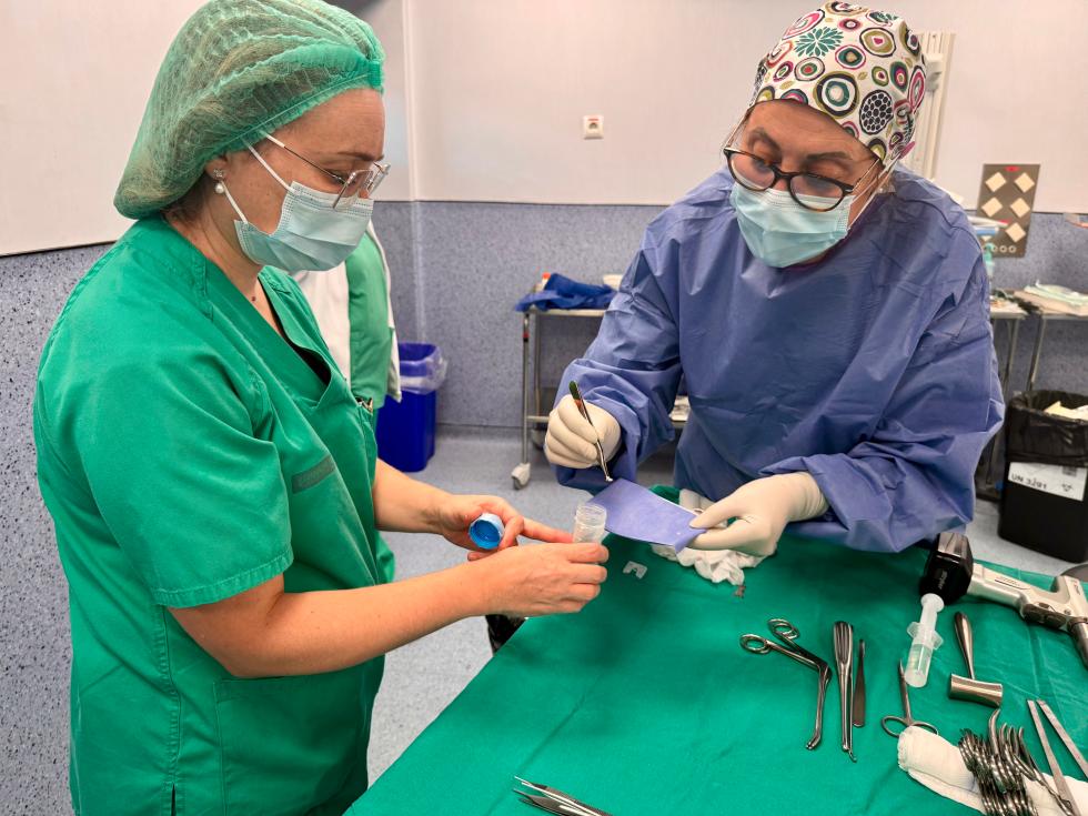 El Hospital Doctor Peset, referencia para regenerar cartílago de rodilla y tobillo con células del propio paciente 4 cirujia operacion sanidad 2