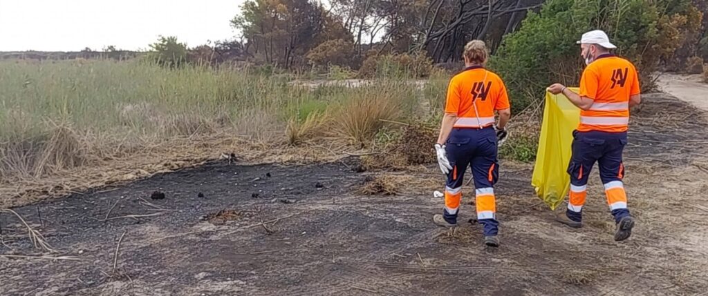 El incendio de El Saler deja 750 kilos de residuos retirados por los servicios de limpieza de Valencia 2 El incendio de El Saler deja 750 kilos de residuos retirados por los servicios de limpieza de Valencia 2