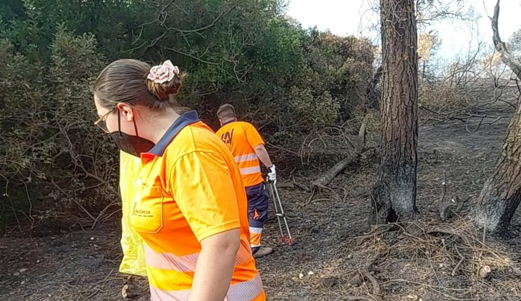El incendio de El Saler deja 750 kilos de residuos retirados por los servicios de limpieza de Valencia 3 El incendio de El Saler deja 750 kilos de residuos retirados por los servicios de limpieza de Valencia 3